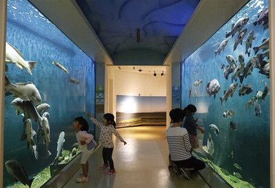 🐠 시마네 현립 신지호 자연관 고비우스 이미지 2